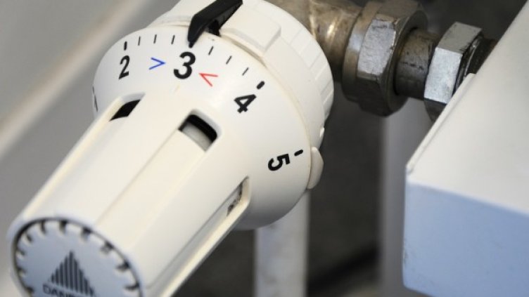 Снимка: Pixabay