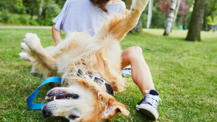 Снимка: Istock