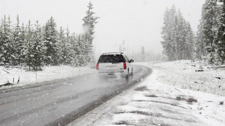 Снимка: Pixabay