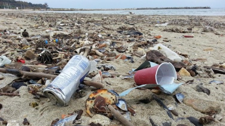 Снимка: Булфото, архив