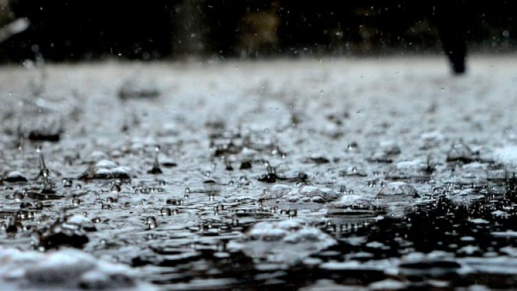 Снимка: pexels.com