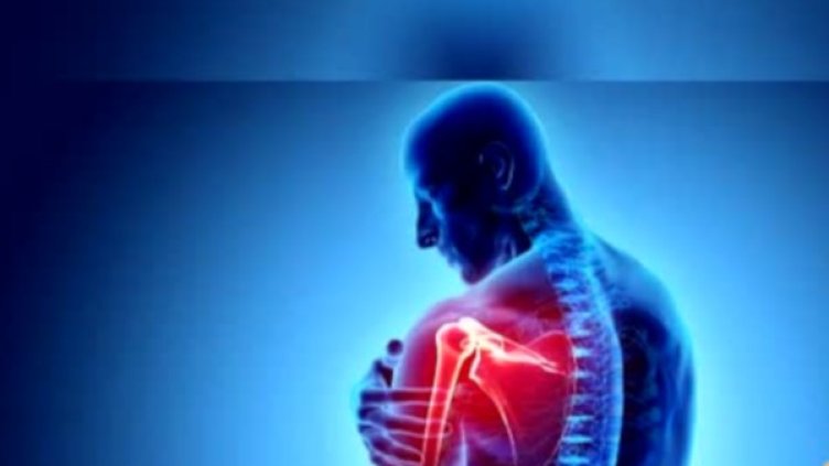 Снимка: Bulgaria ON AIR