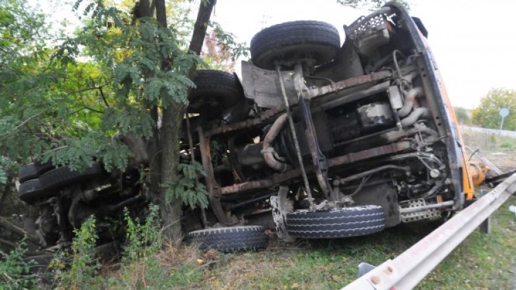 Снимка: Булфото архив