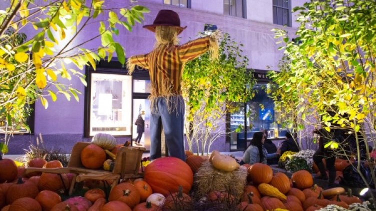 Снимка: Pixabay