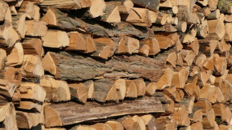 Снимка: Pixabay