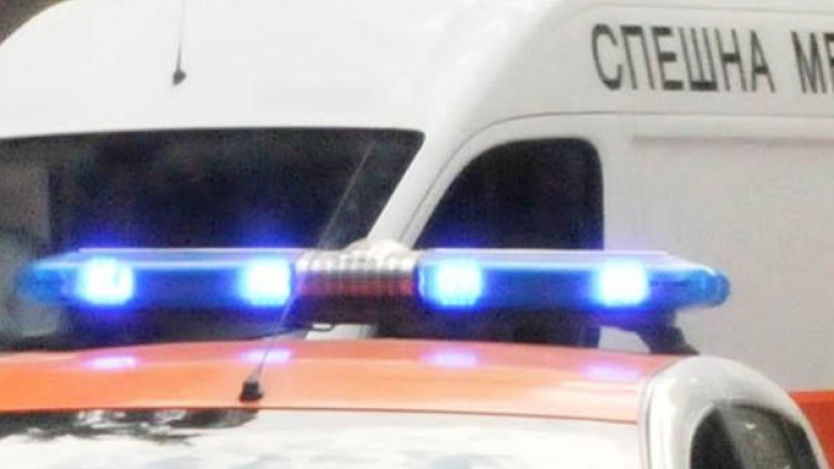 Снимка: архив Булфото