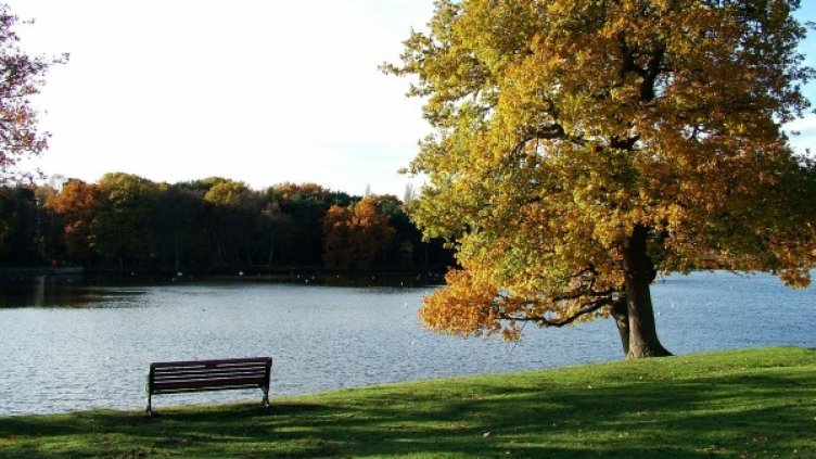 Снимка: Pixabay