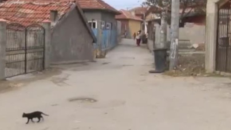 Снимка: Bulgaria ON AIR