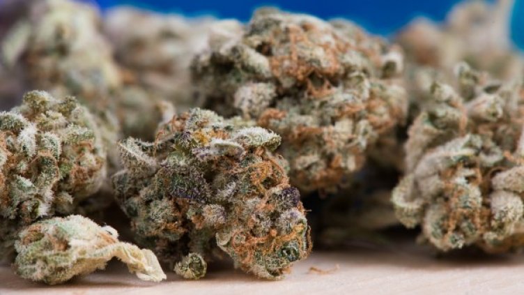 Снимка: Pixabay