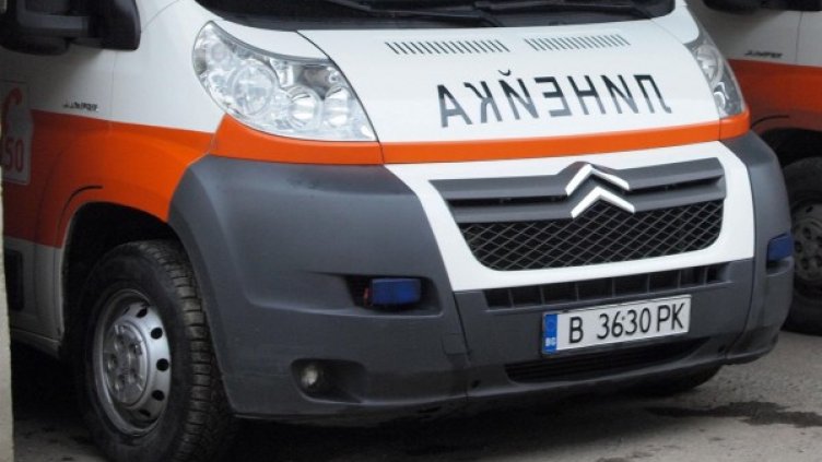 Снимка: архив, Булфото