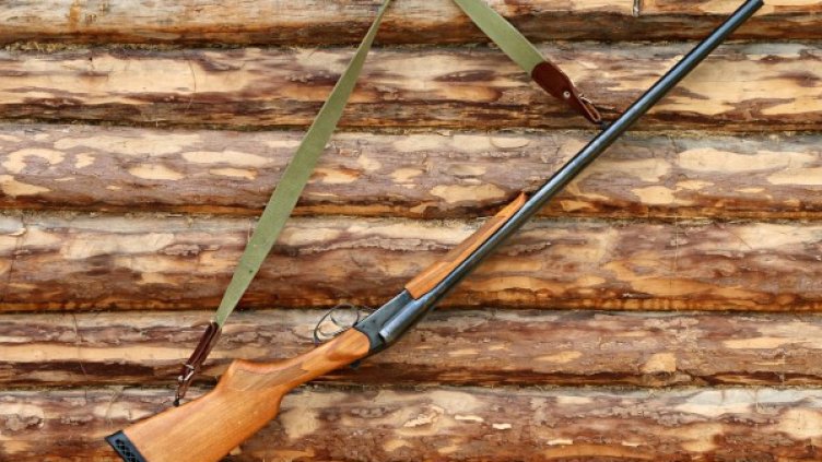 Снимка: Pixabay