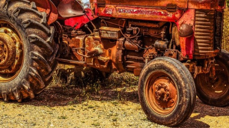 Снимка: Pixabay