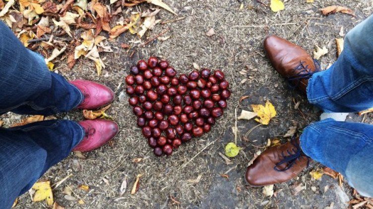 Снимка: Pixabay