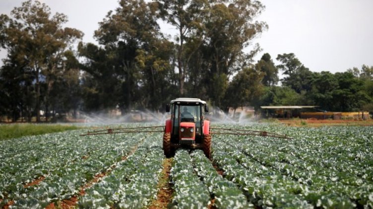 Снимка: Reuters, архив