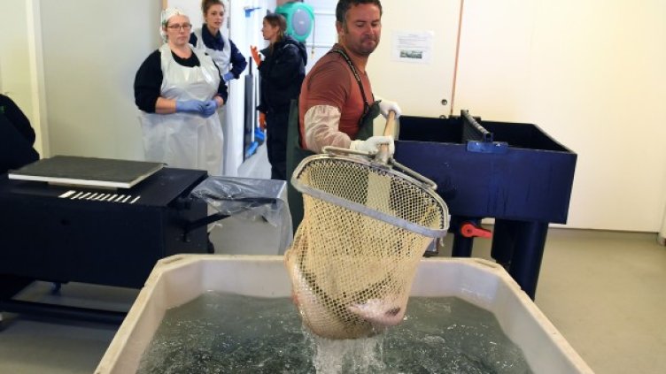 Снимка: Reuters