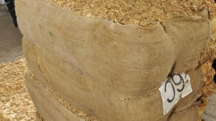 Снимка: архив, Булфото