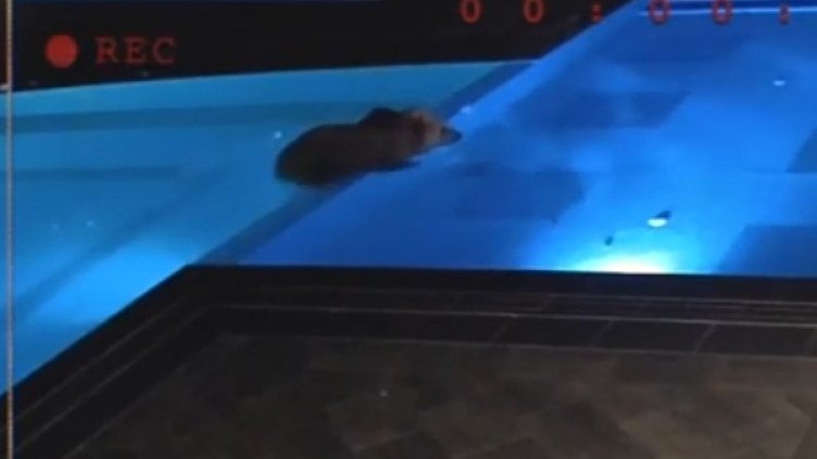 Снимка: Facebook