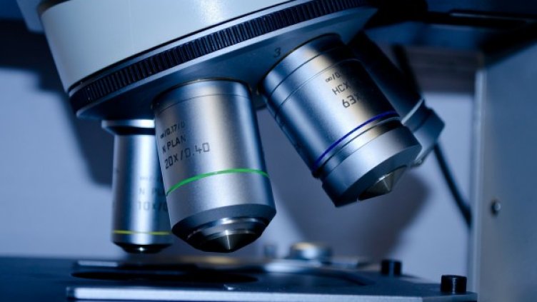 Снимка: Pixabay