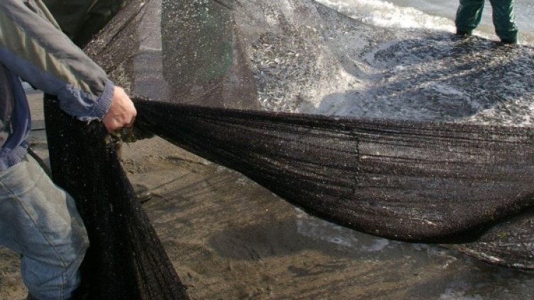 Архив: Булфото