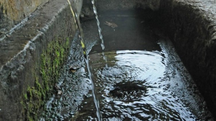 Архив: Булфото