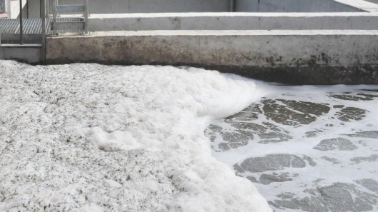 Снимка: Булфото архив