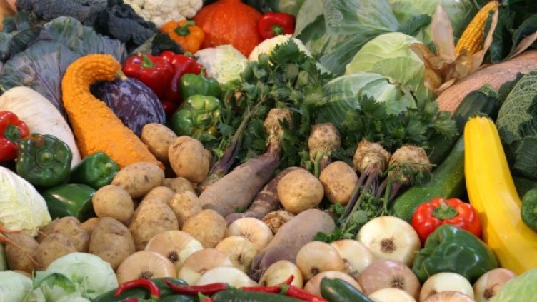 Снимка: Pixabay