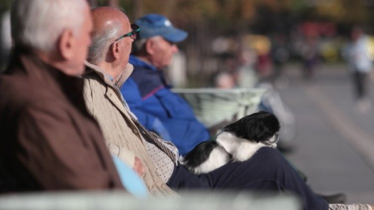 Снимка: Димитър Кьосемарлиев, Dnes.bg