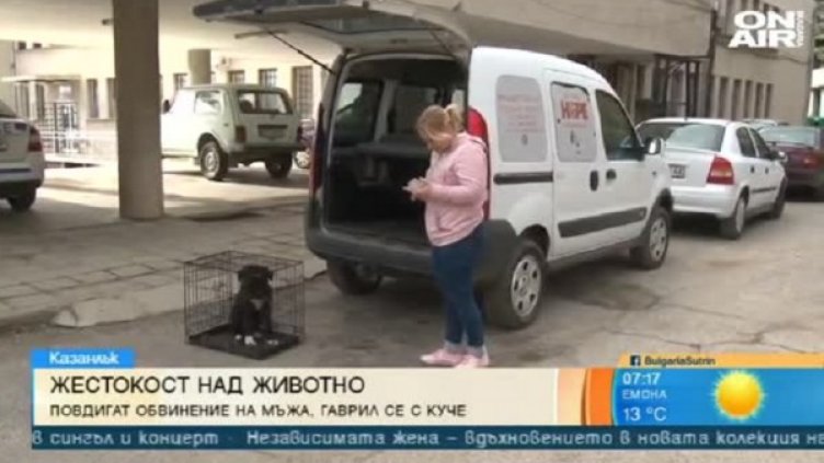 Снимка: Bulgaria ON AIR