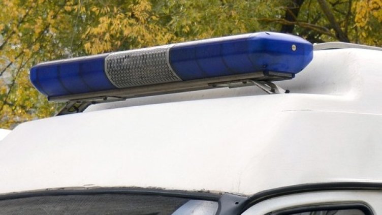 Снимка: Pixabay