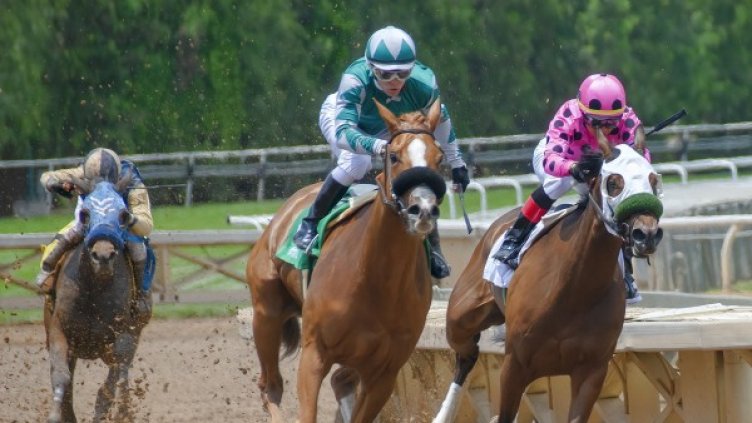 Снимка: Pixabay