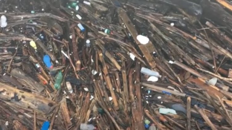 16 хектара, 200 000 т боклук: Проблемите пред ВЕЦ "Джердап"