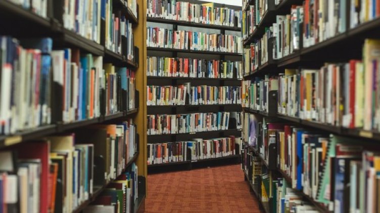 Снимка: pixabay