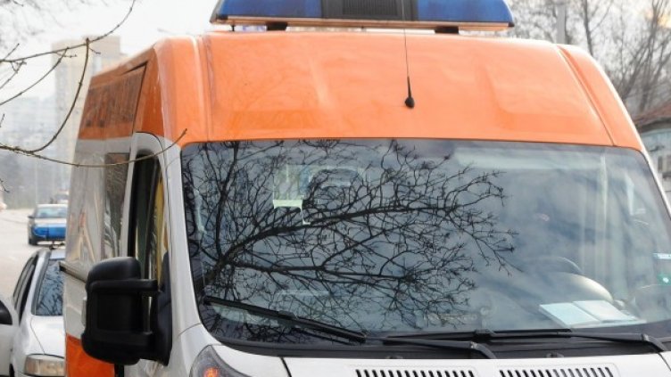 Снимка: Булфото