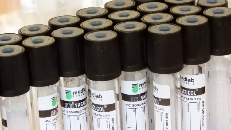 Снимка: Pixabay