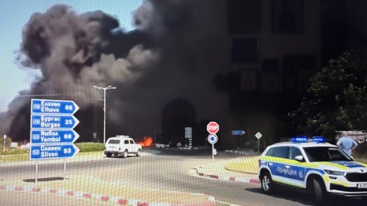 Снимка: архив, БГНЕС