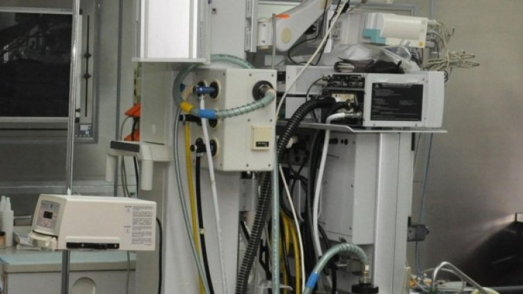 Снимка: архив, БулФото