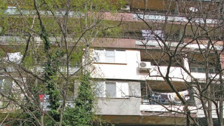 Снимка: архив, Булфото