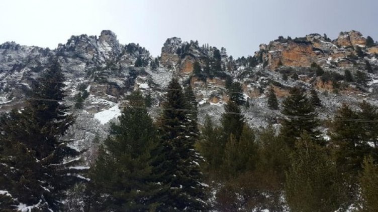 Снимка: Dnes.bg