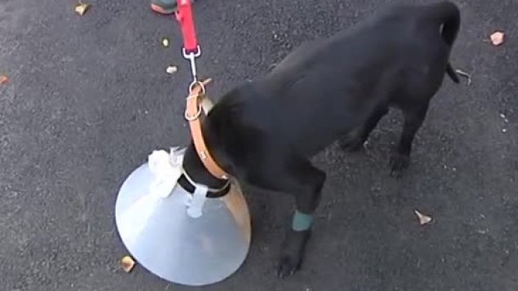 Снимка: Bulgaria ON AIR