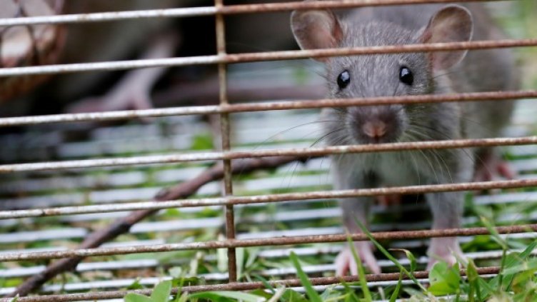 Снимка: архив, Reuters