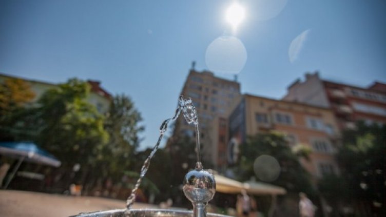 Снимка: Димитър Кьосемарлиев, dnes.bg