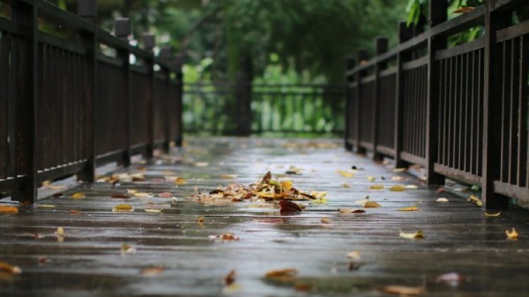 Снимка: pixabay