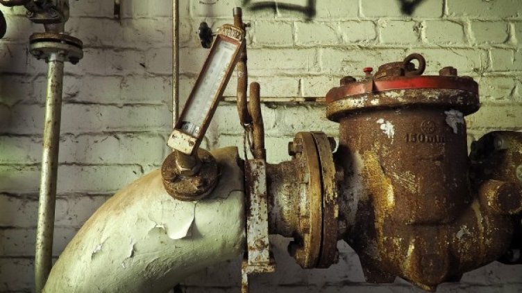 Снимка: Pixabay