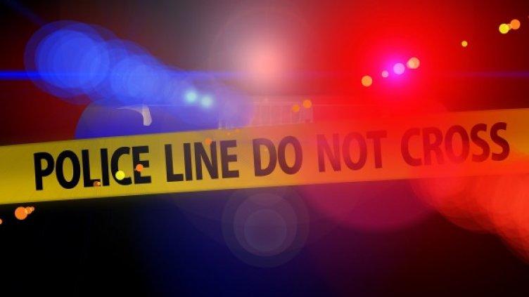 Снимка: Pixabay