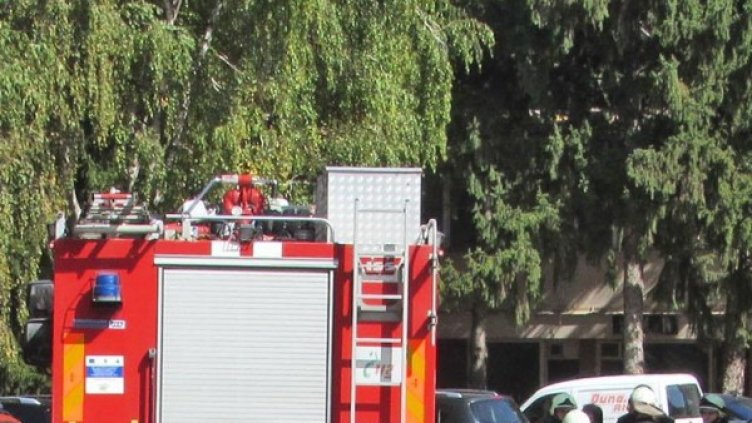 Снимка: Булфото