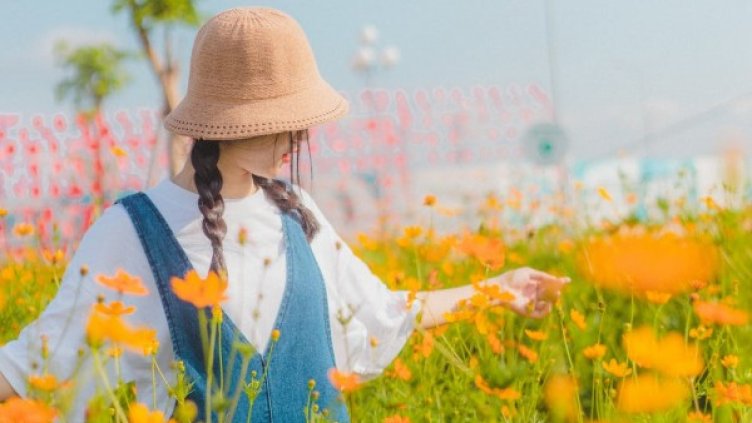 Снимка: pexels.com