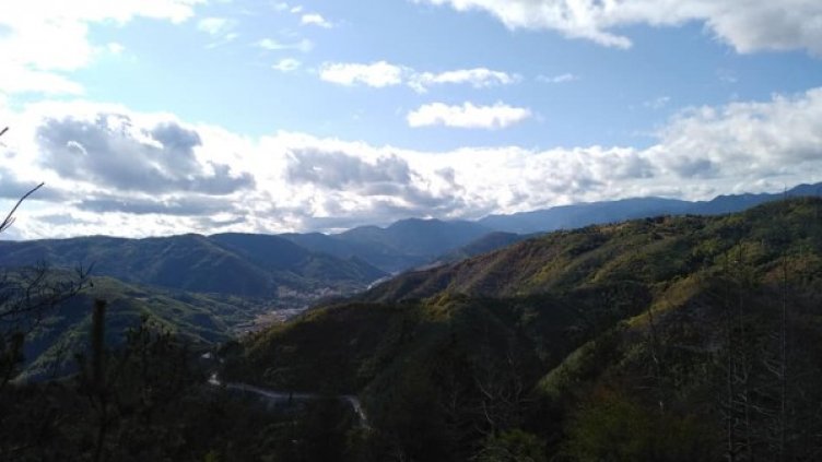 Доротея Попова