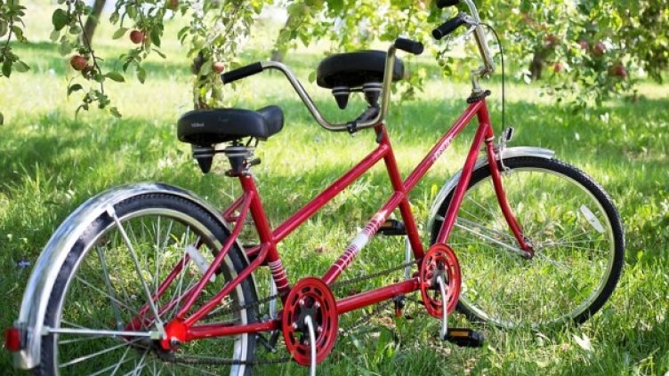 Снимка: Pixabay