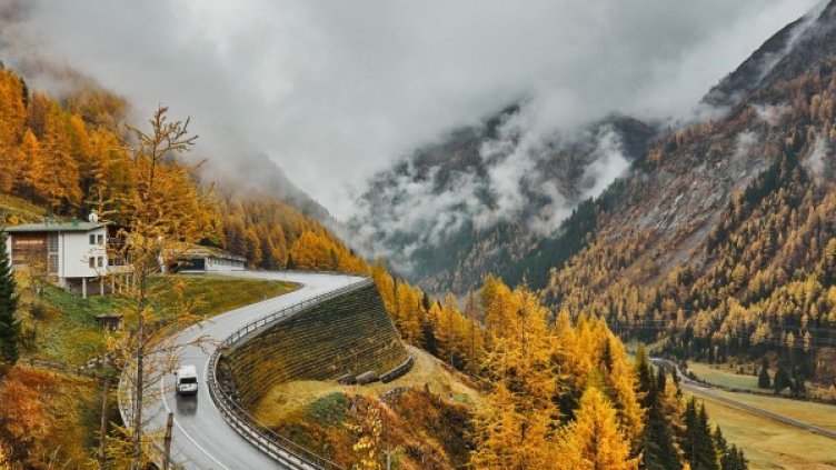 Снимка: Pixabay