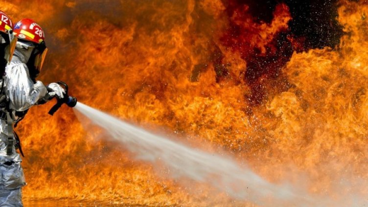 Снимка: Pixabay